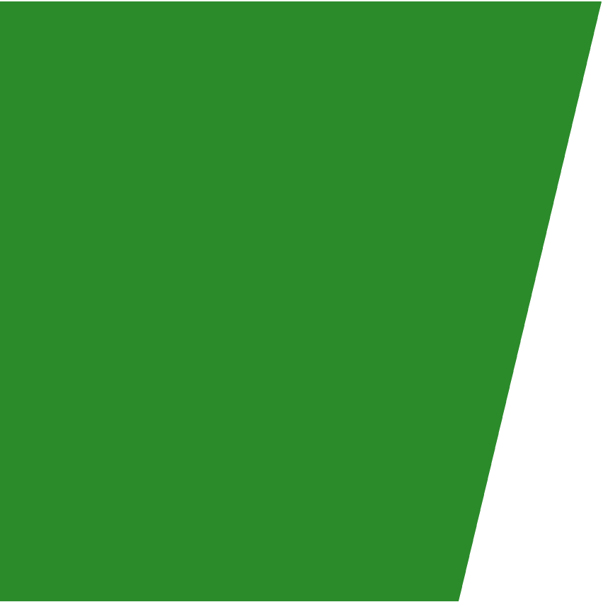 layer-1-1